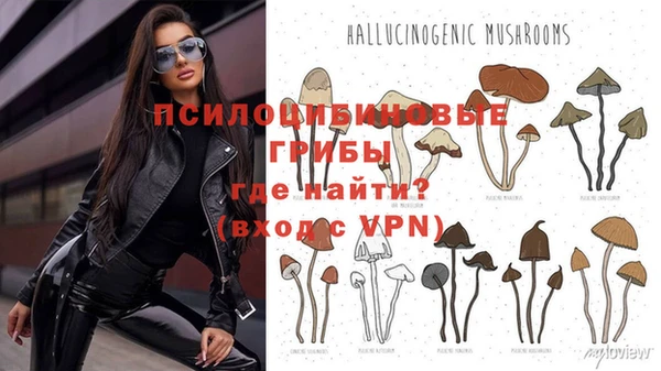 не бодяженный Михайловск